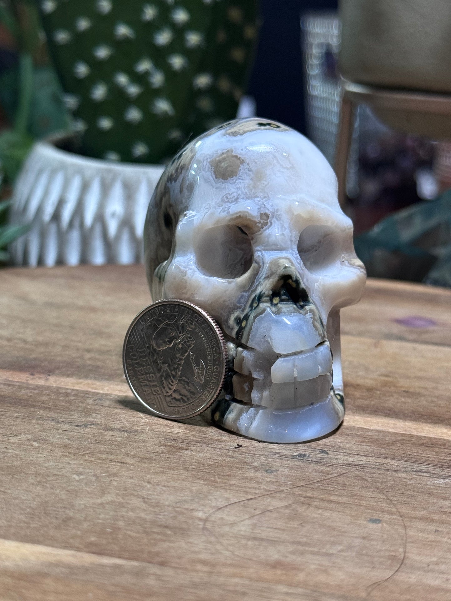White ocean jasper skull