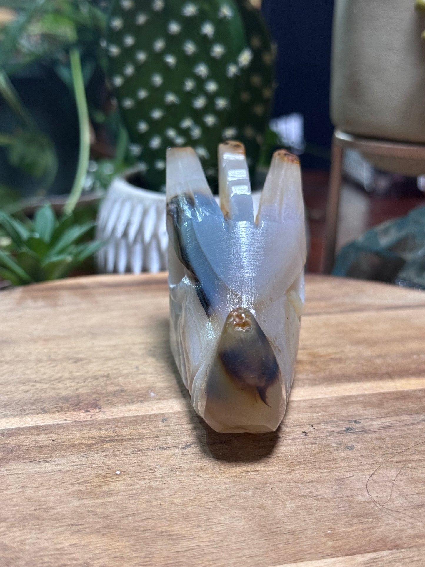 Agate dragon head
