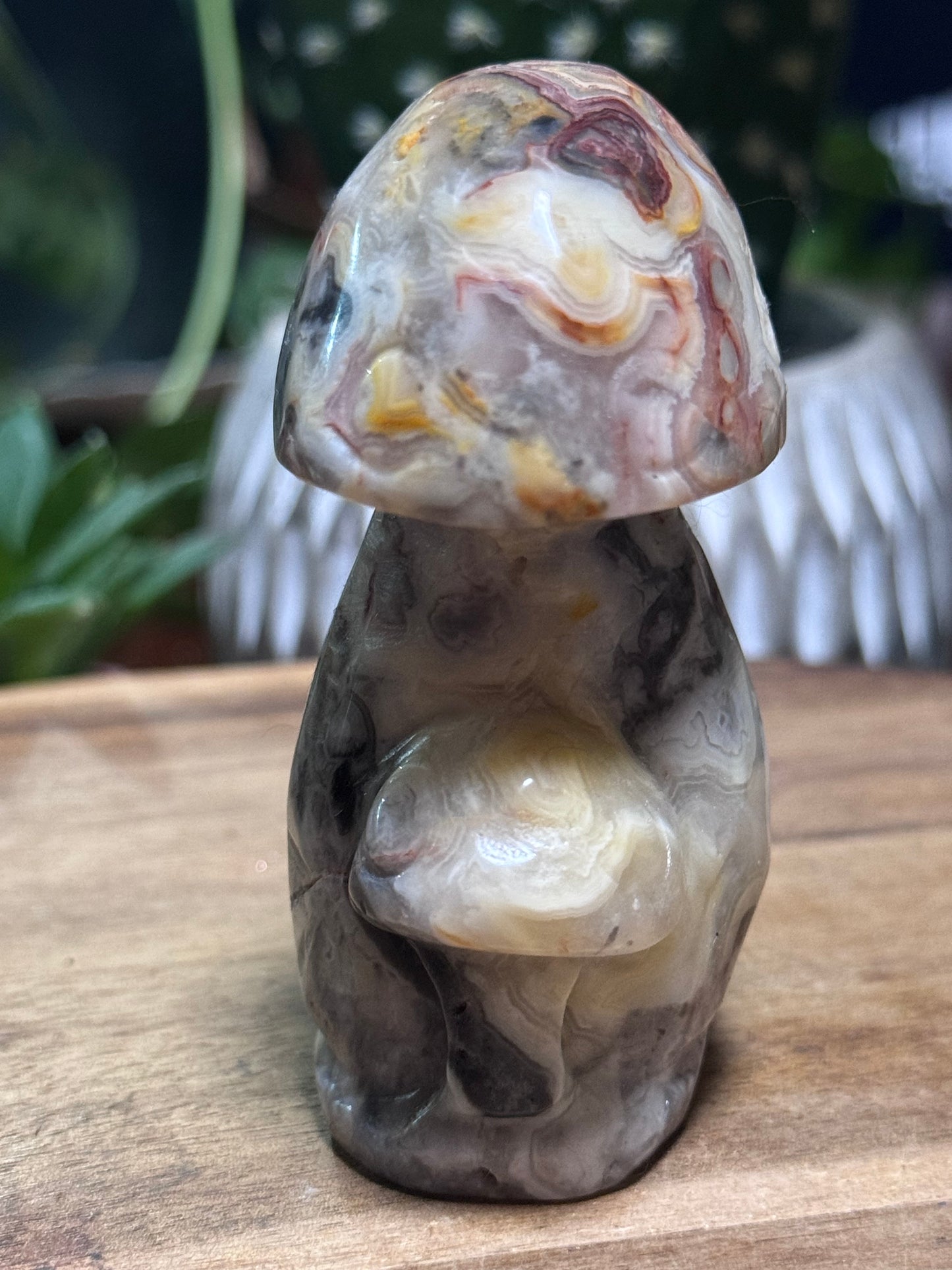 Crazy lace agate mushroom