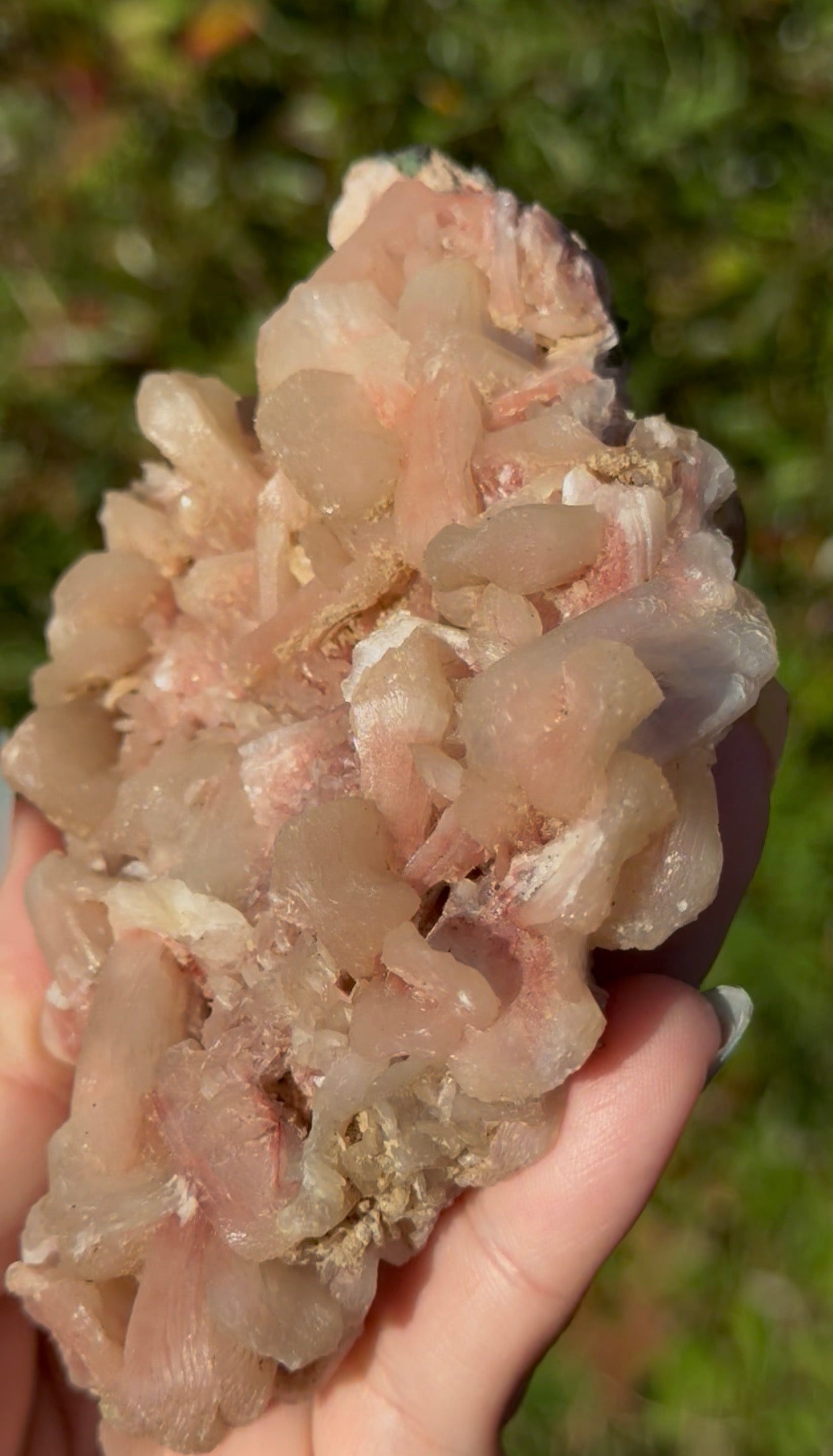 Pink Stilbite specimen
