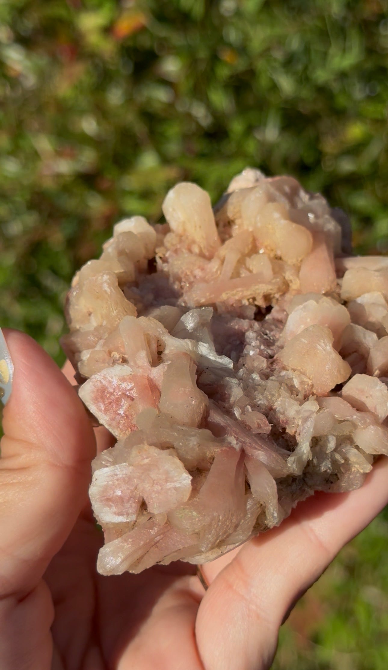 Pink Stilbite specimen