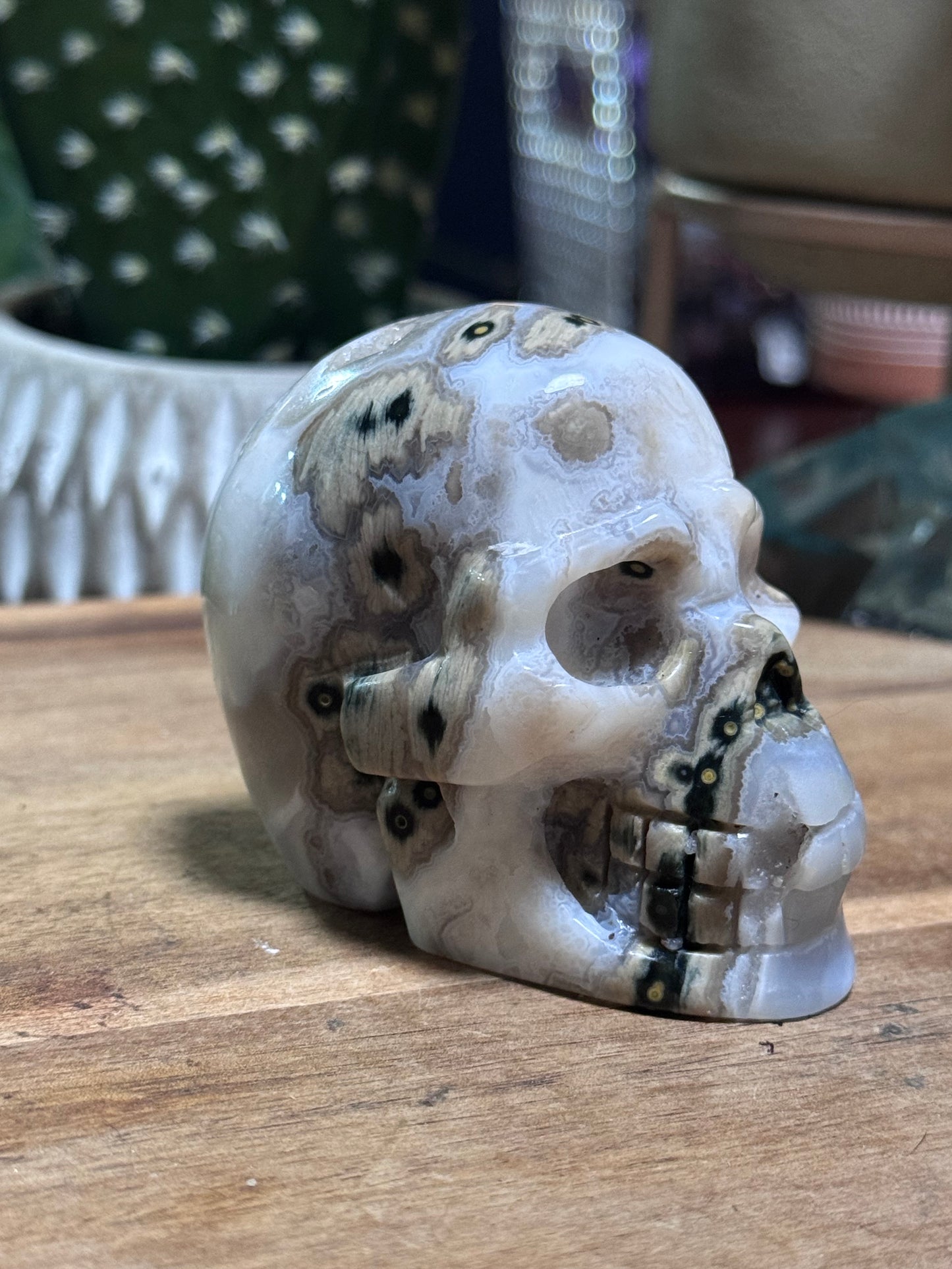 White ocean jasper skull