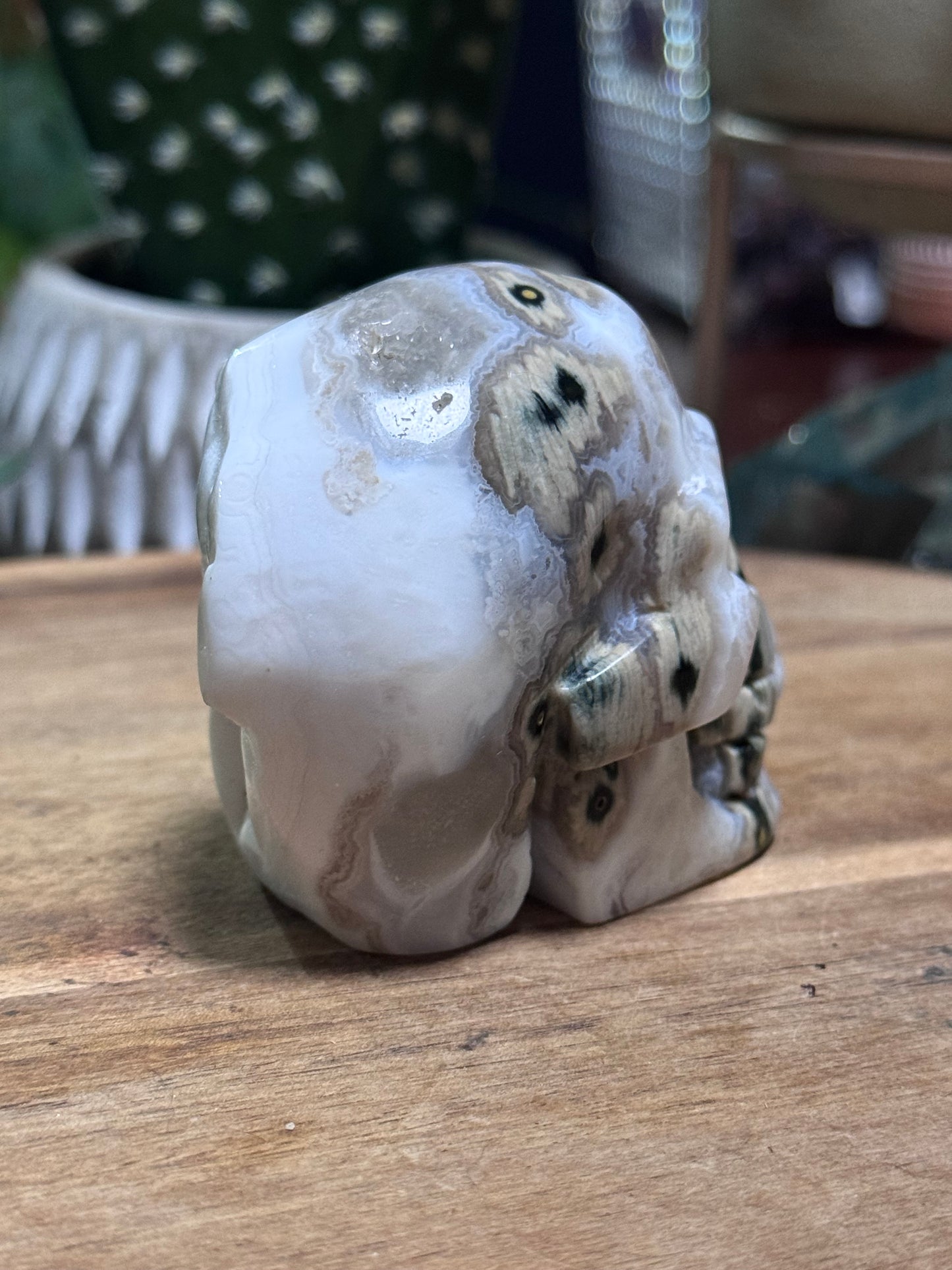 White ocean jasper skull