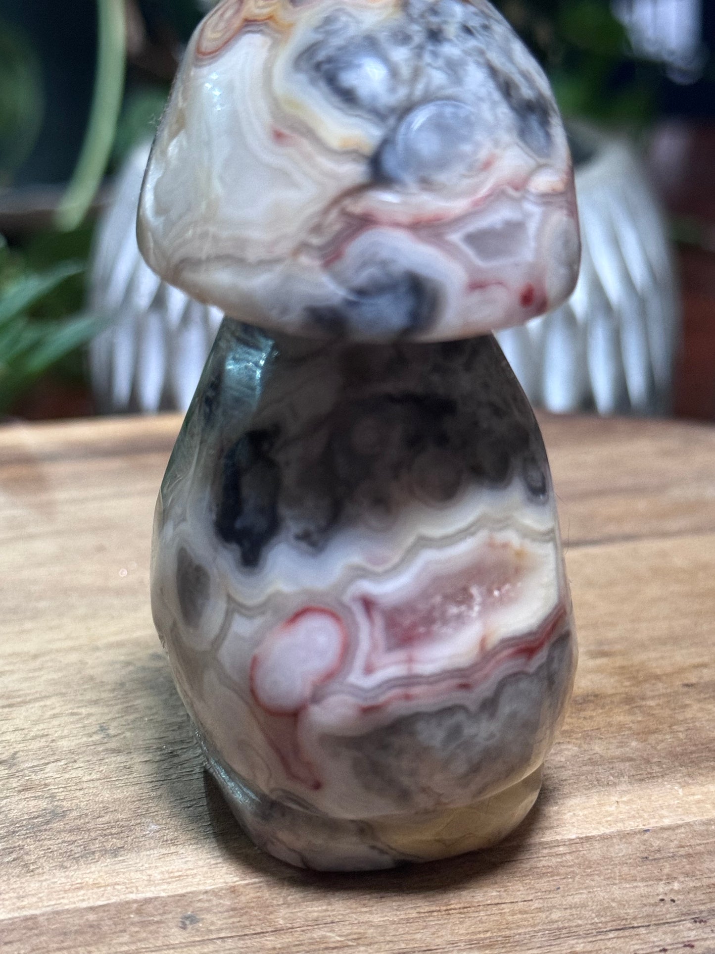 Crazy lace agate mushroom