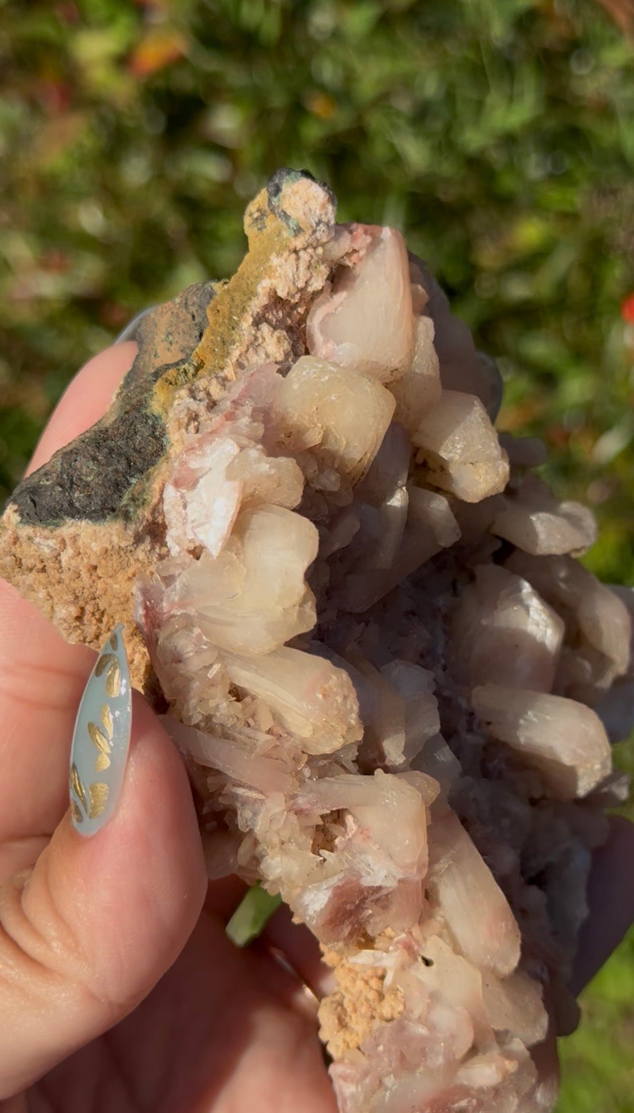 Pink Stilbite specimen