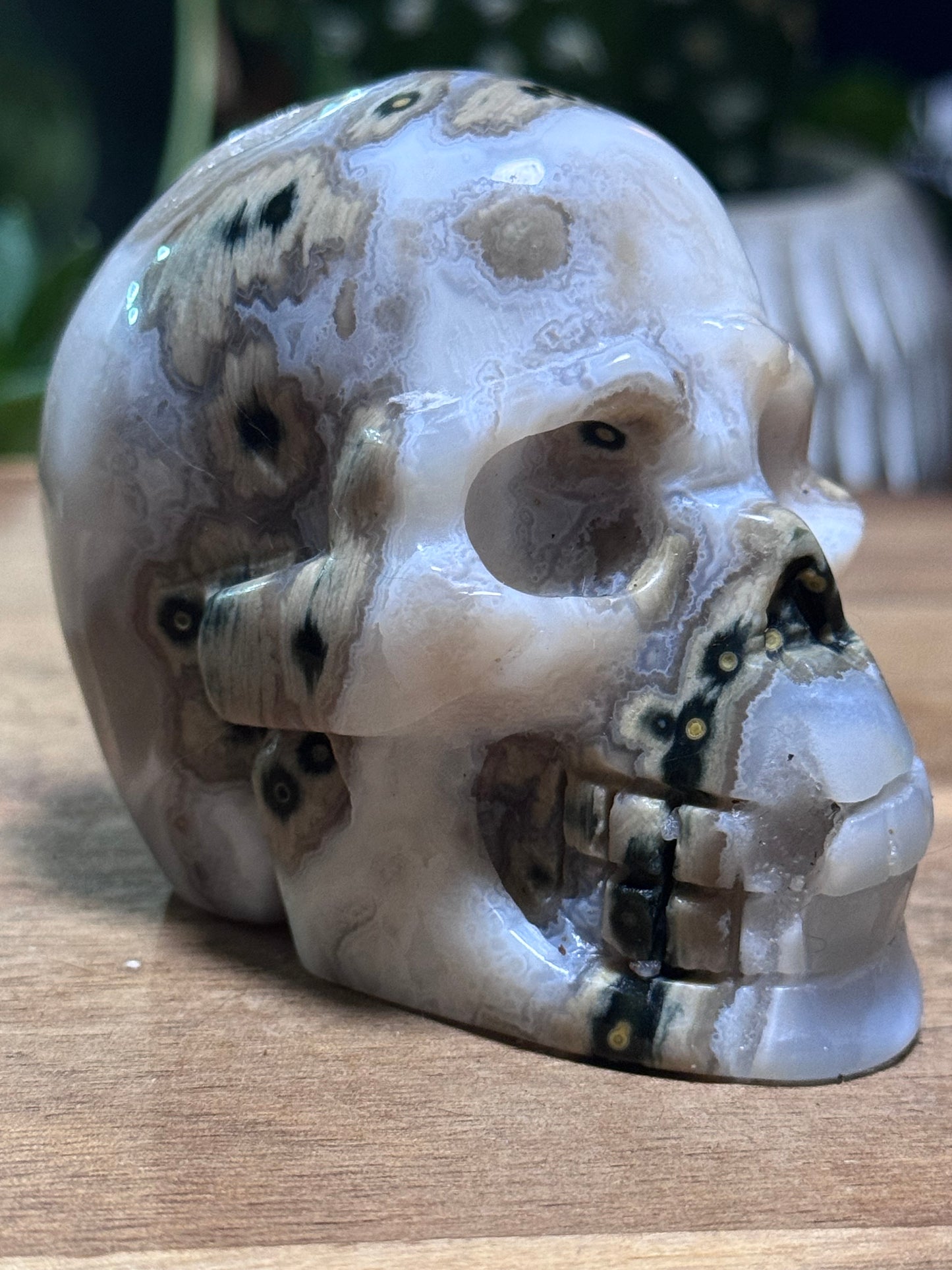 White ocean jasper skull