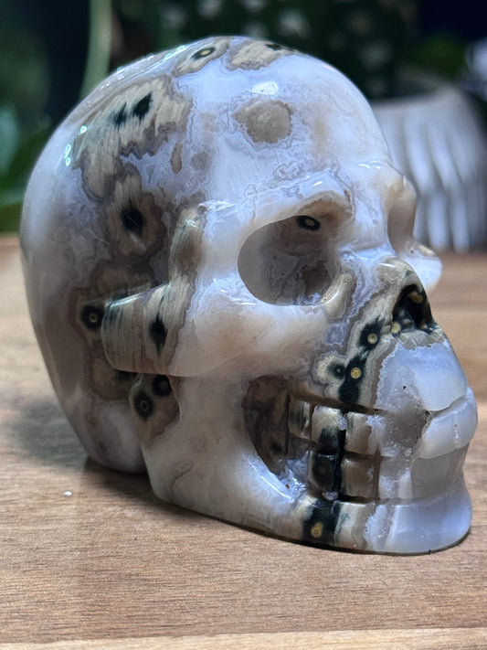 White ocean jasper skull