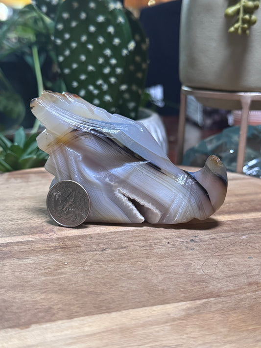 Agate dragon head