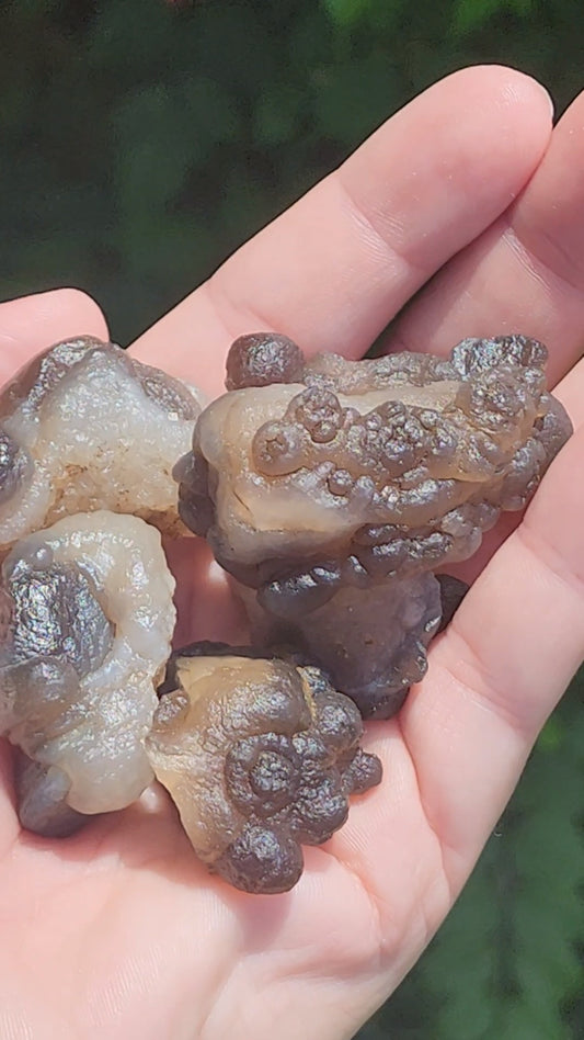 Truffle Chalcedony aka Panda Agate