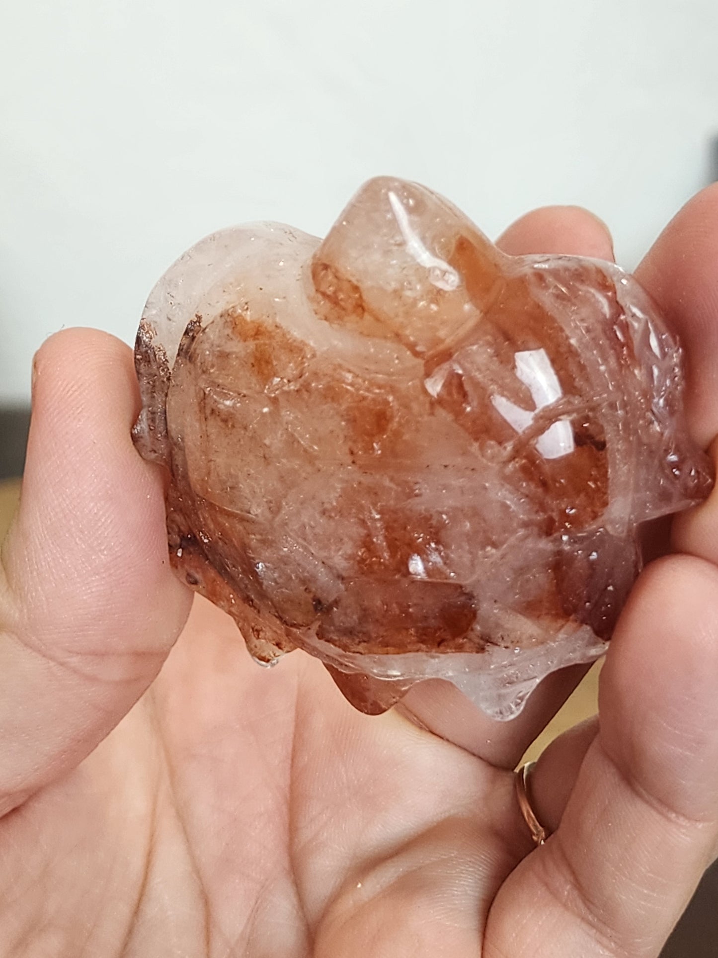 Fire Quartz Turtle