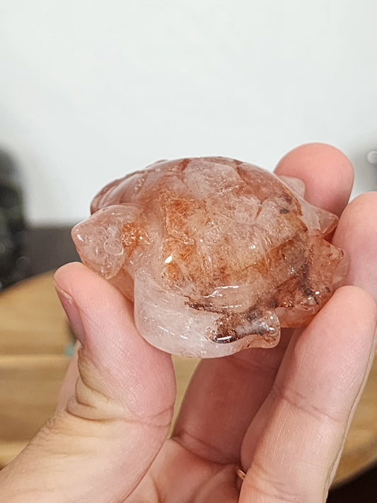 Fire Quartz Turtle
