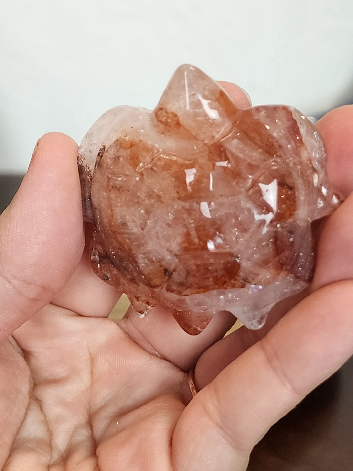 Fire Quartz Turtle