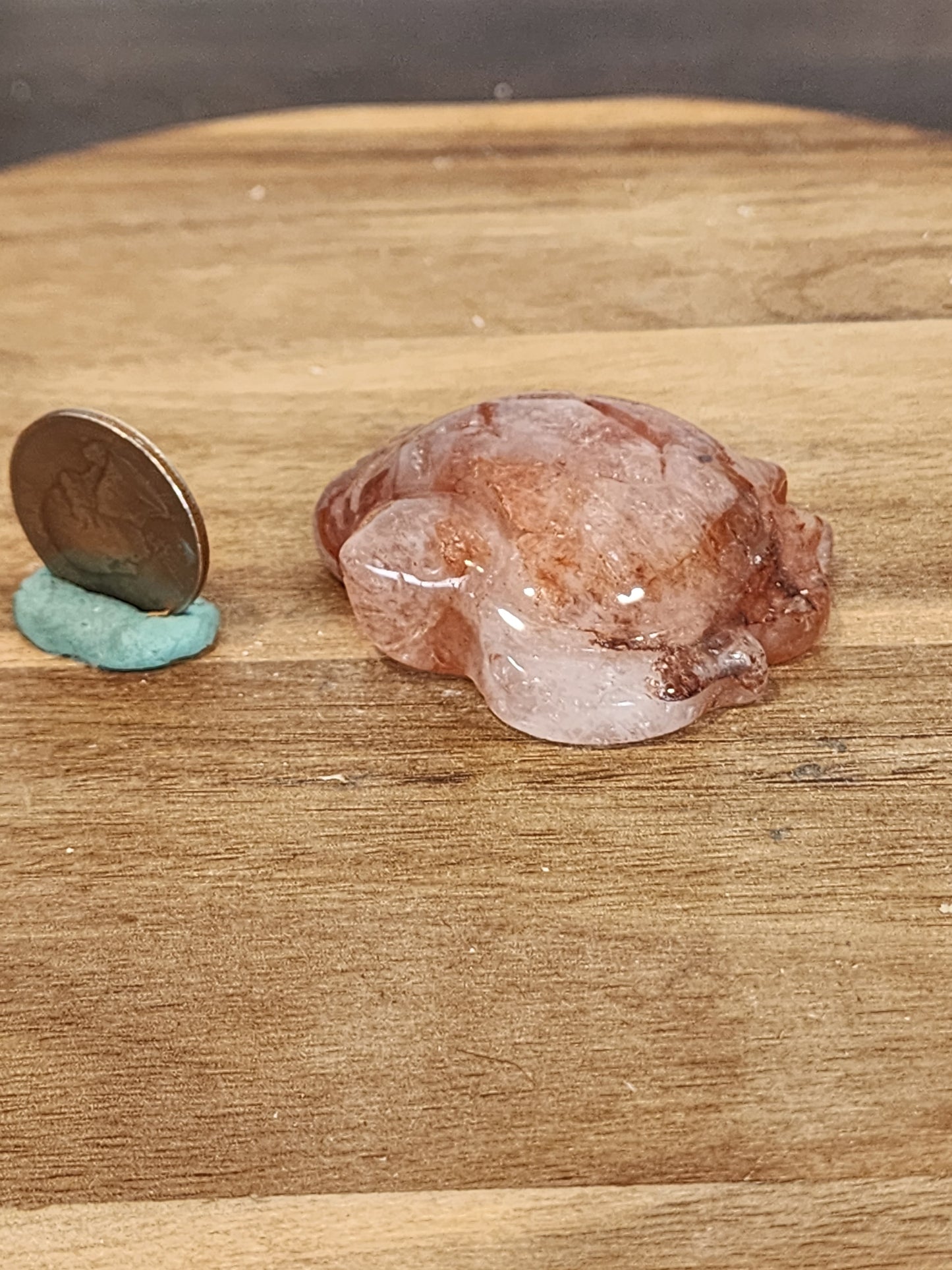 Fire Quartz Turtle
