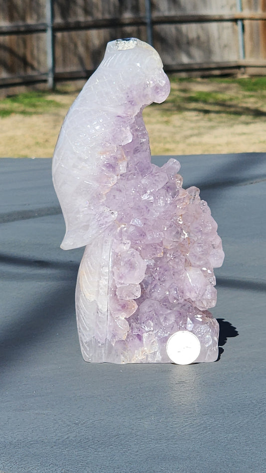 Amethyst cluster parrot carving